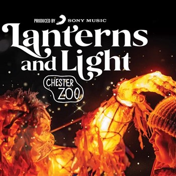 Chester Xmas Mkt & Chester Zoo Lanterns & Lights