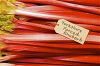 Wakefield Market & Rhubarb Festival at Cathedral 